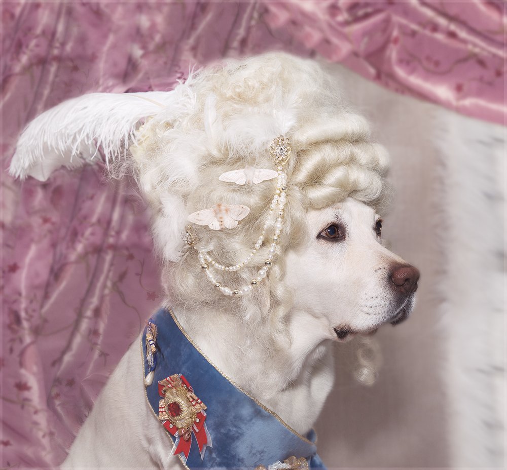 Фотография автора Елена Баврина