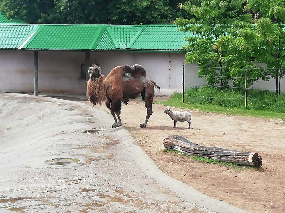 Ты морячка, я моряк)