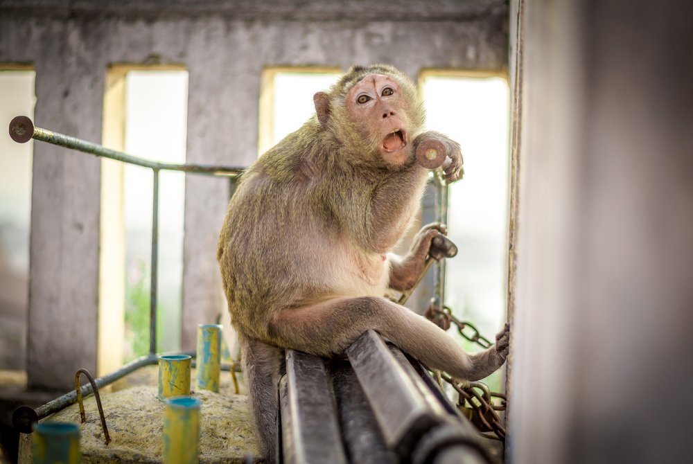 Photograph by Oleg Zozulya