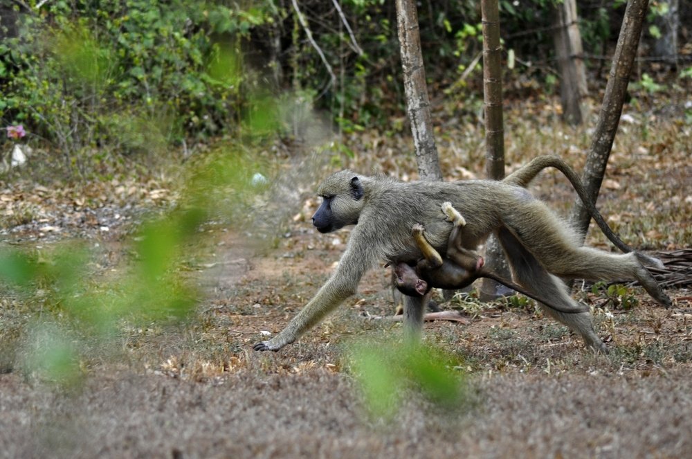 Photograph by Iryna Veramchuk
