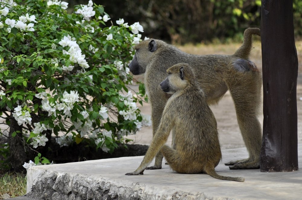 Photograph by Iryna Veramchuk