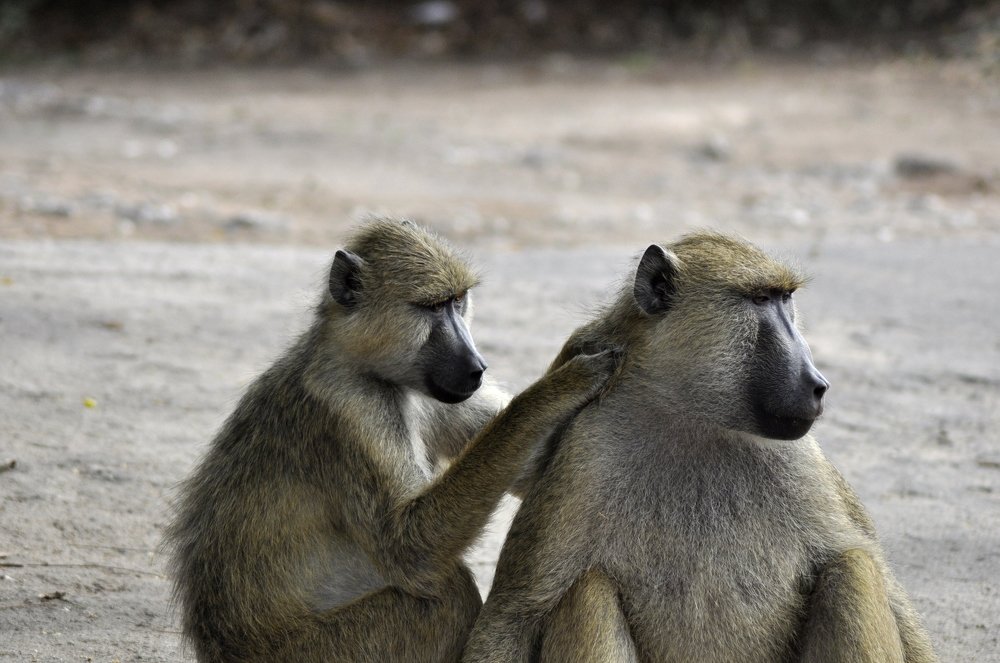 Photograph by Iryna Veramchuk