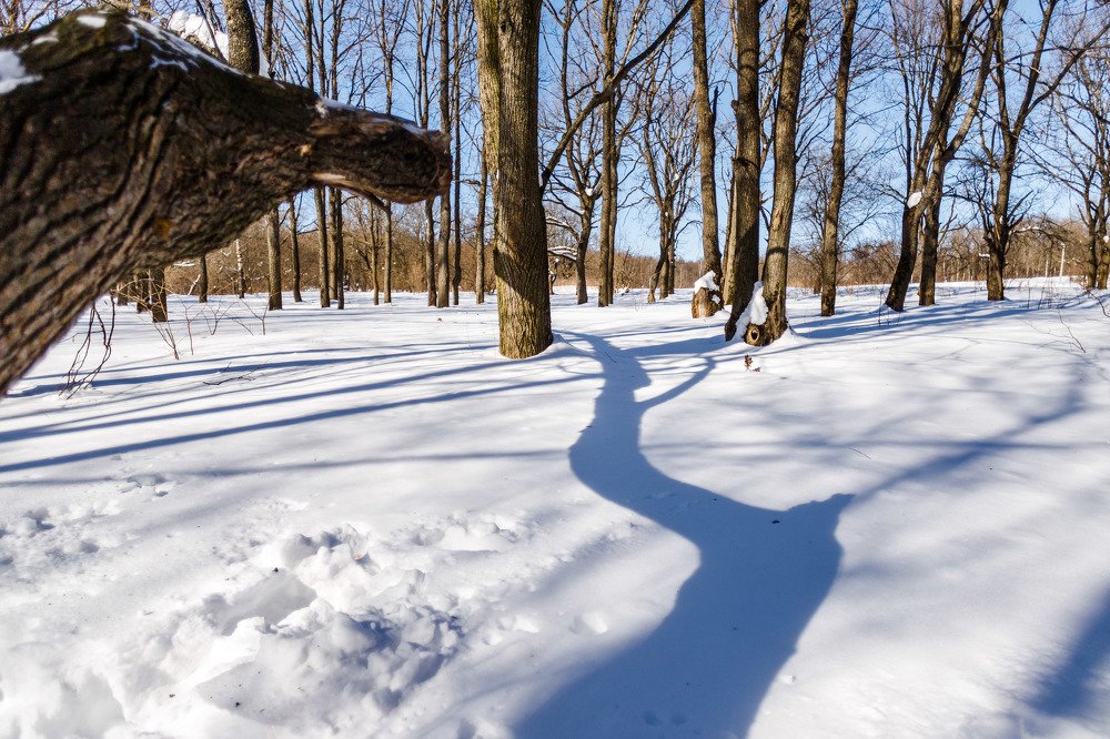 Photograph by Светлана Глебова