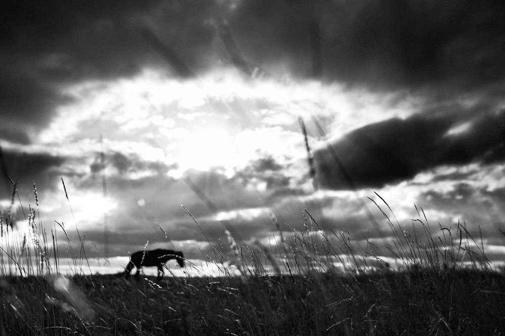 Фотография автора Артемий Федосеев