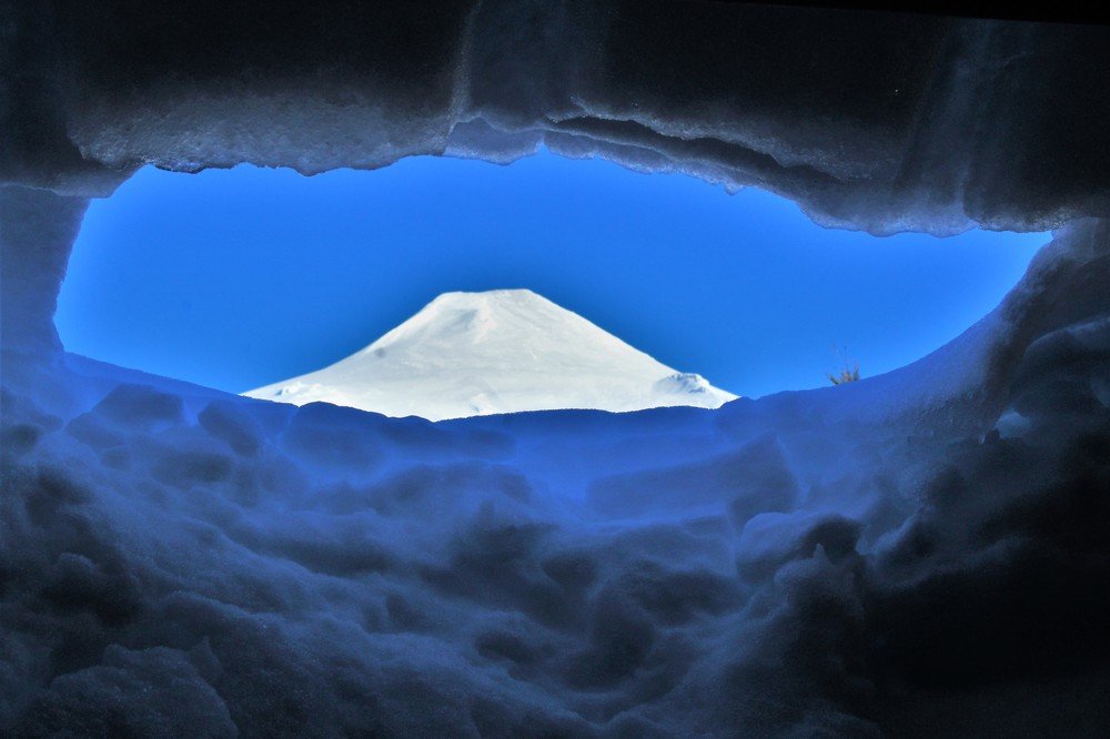 Фотография автора OSMIR ZANETTE