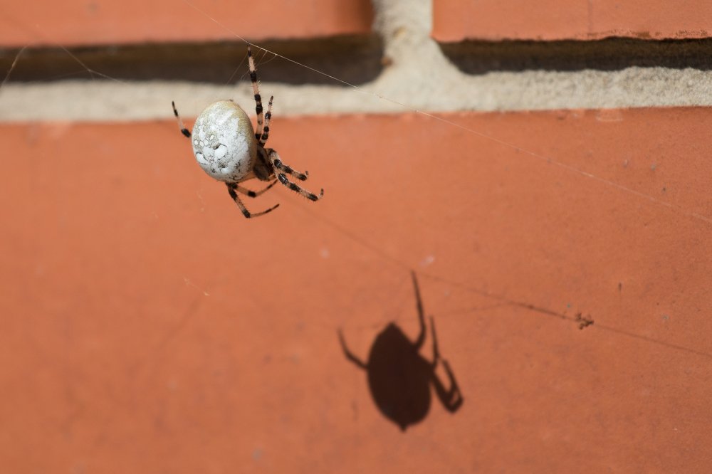 Photograph by Светлана Глебова