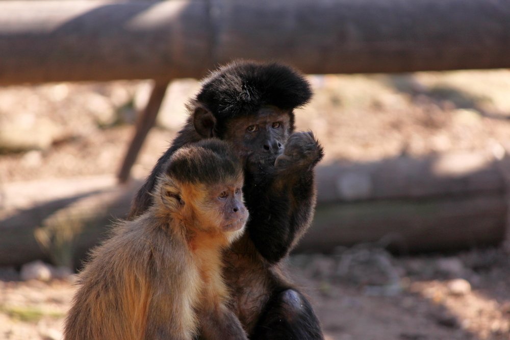 Фотография автора Michael Lobzovsky