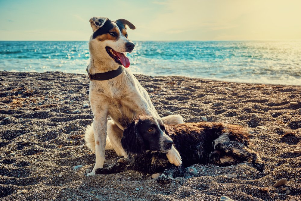 Photograph by Алексей Бортиков