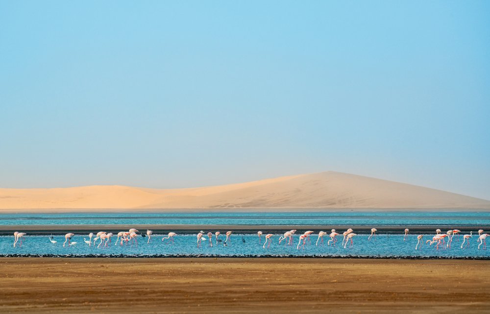 Фотография автора Vishnu Gopal