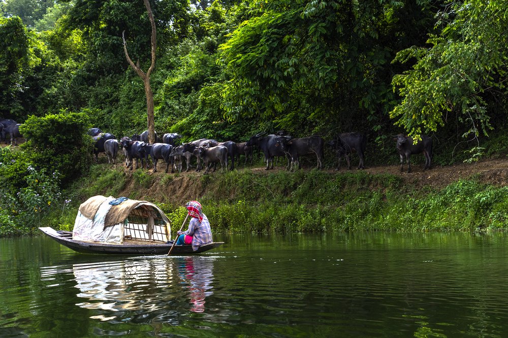 Photograph by Biswajit Das
