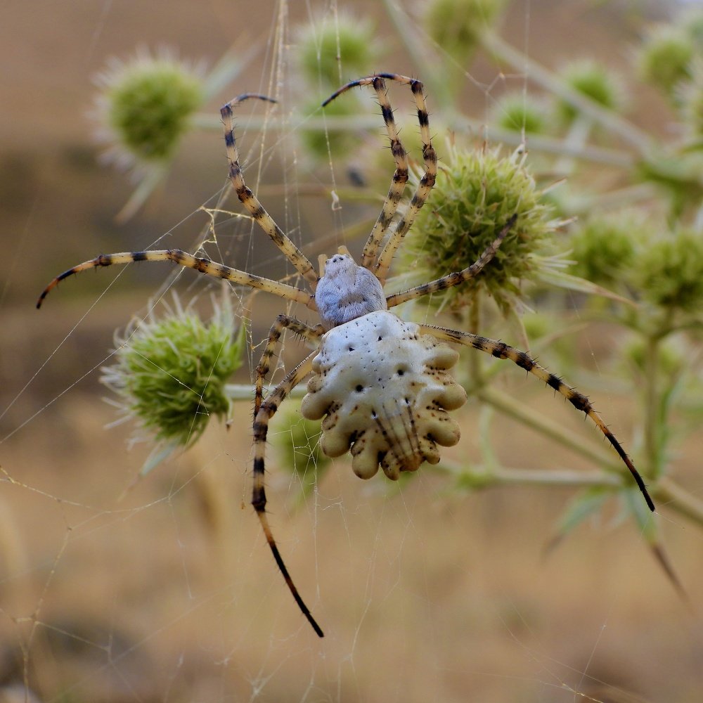 Photograph by Дмитрий Батагов
