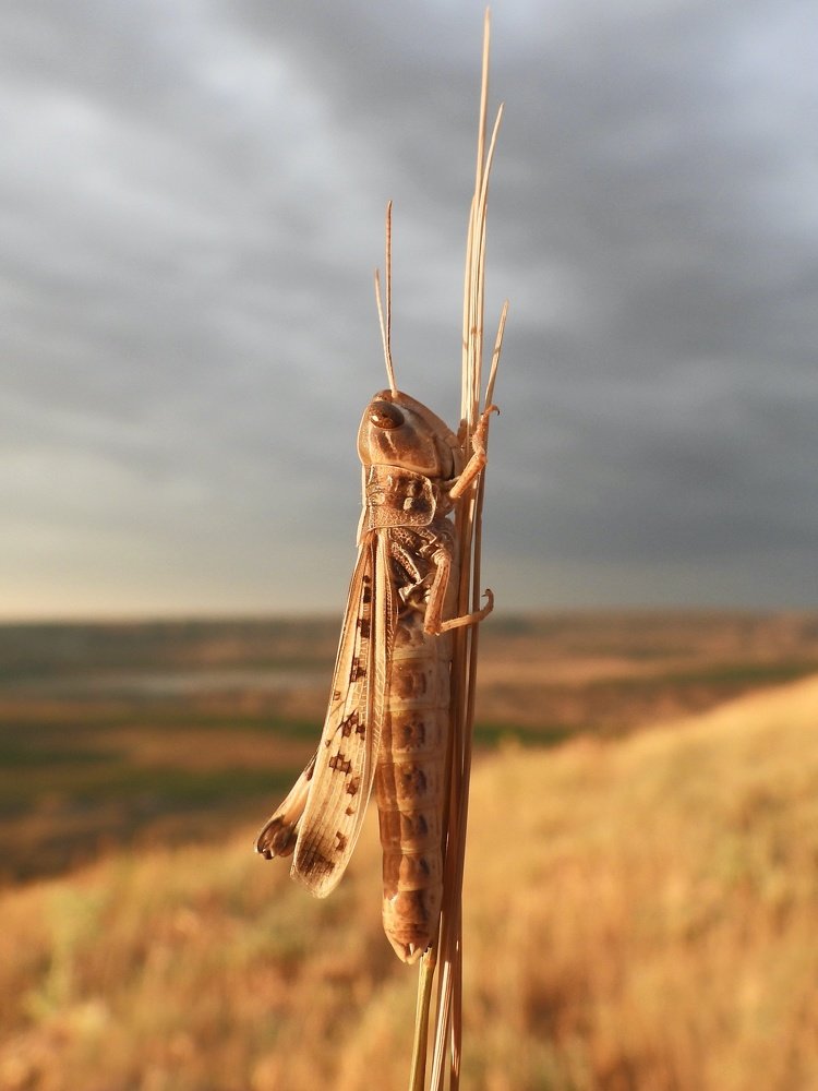 Photograph by Дмитрий Батагов