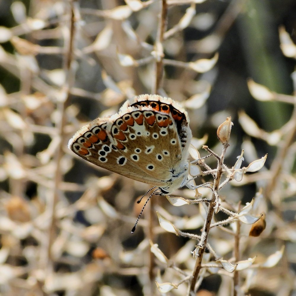 Photograph by Дмитрий Батагов