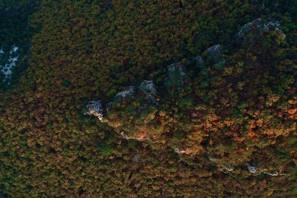 Photograph by Дмитрий Батагов