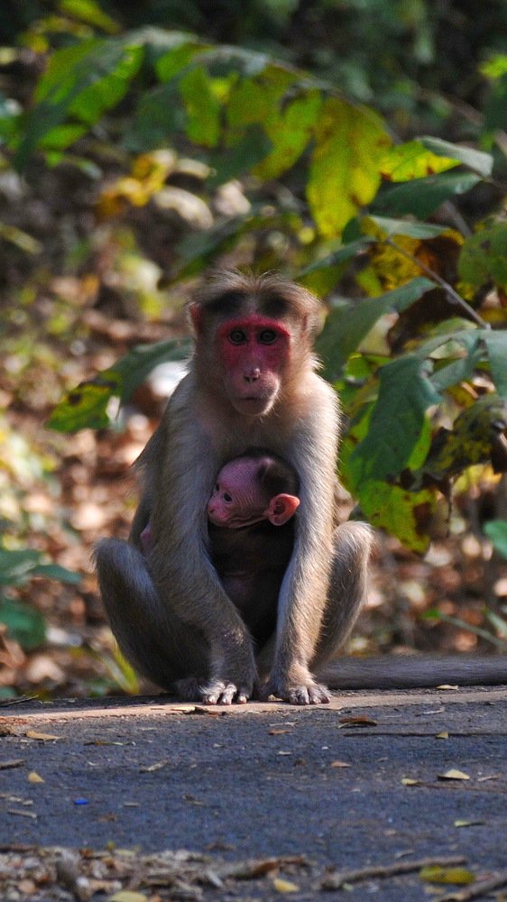 Photograph by Владислав Мягков