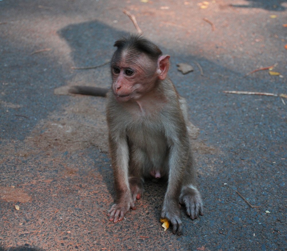 Photograph by Владислав Мягков