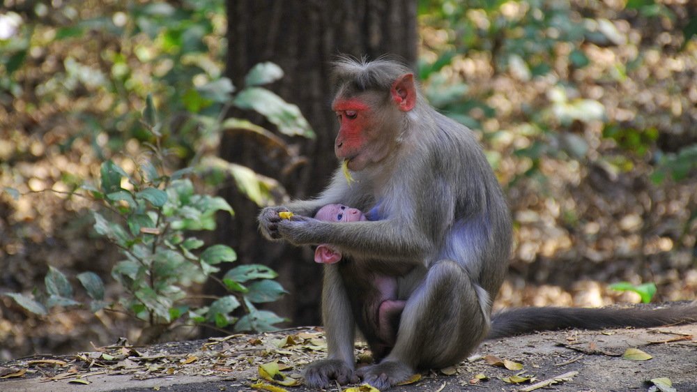 Photograph by Владислав Мягков
