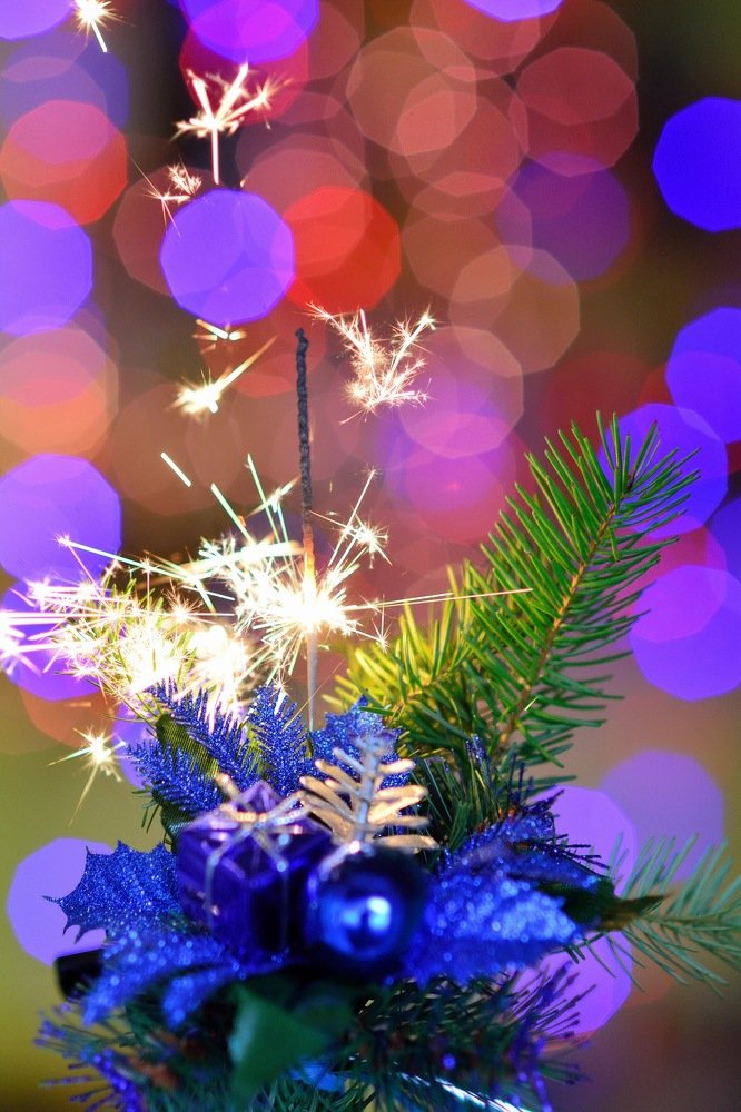 Фотография автора Teglaş Marin