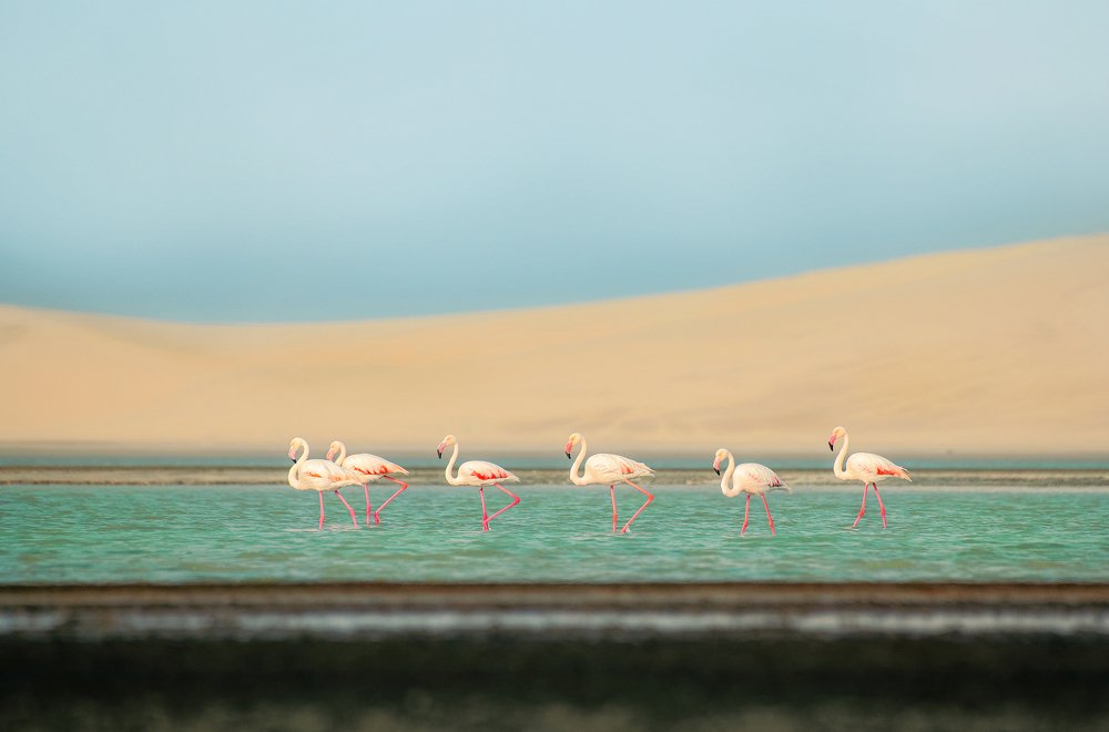 Фотография автора Vishnu Gopal