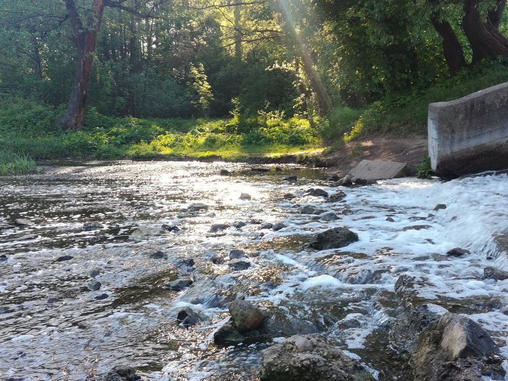 Photo #4095424
