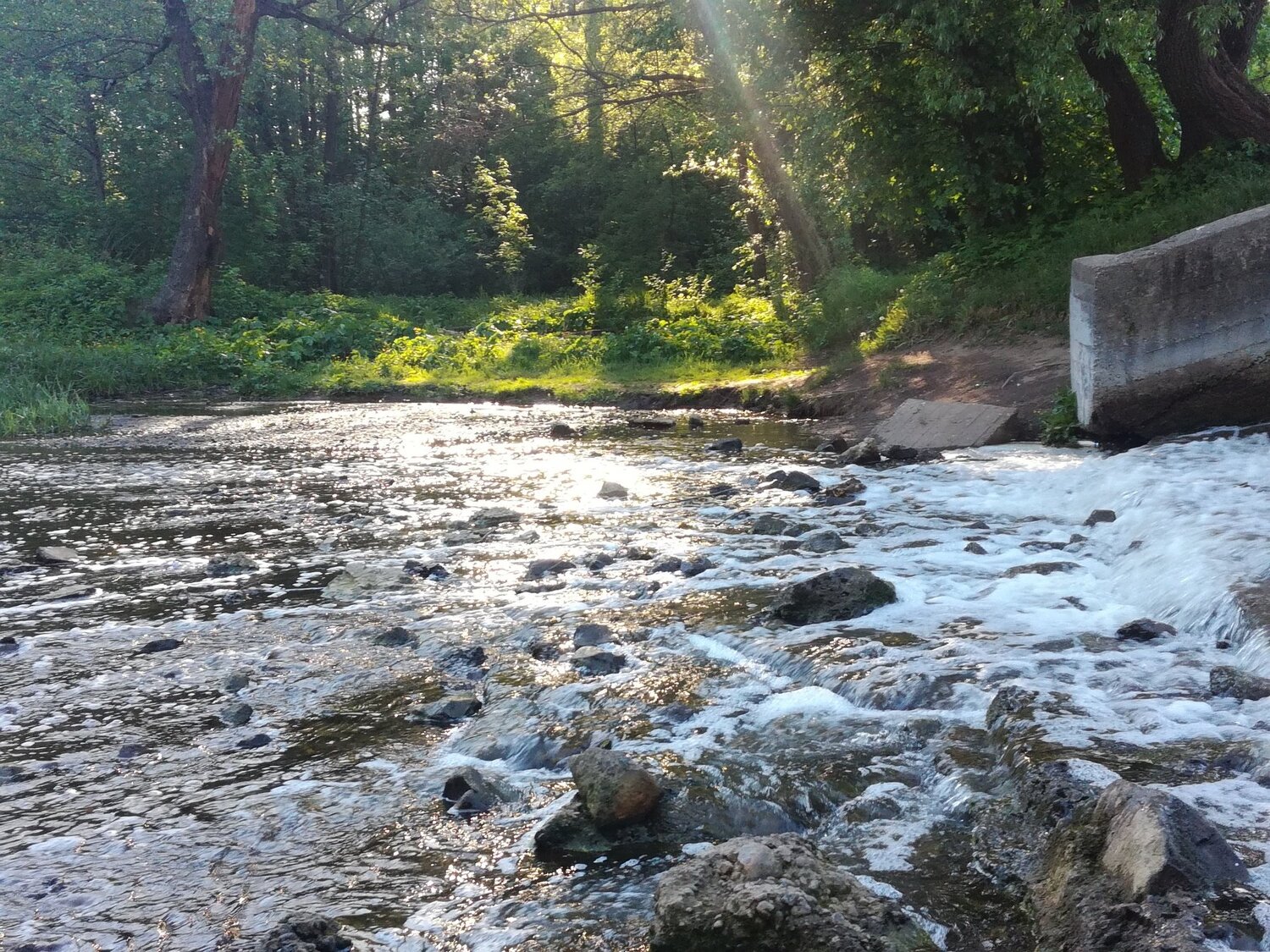 Photo #4095424