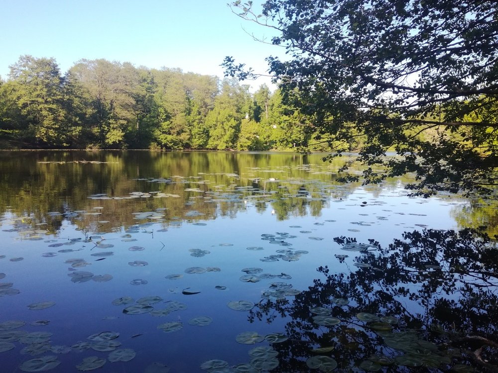 Photo #4095428