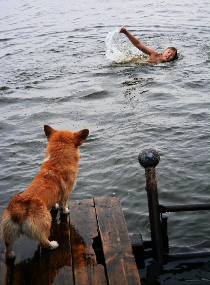 Photograph by Михаил Глазырин