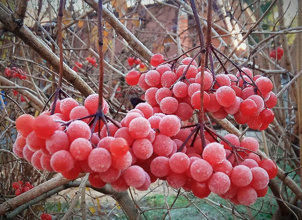 Photograph by Владислав Мягков