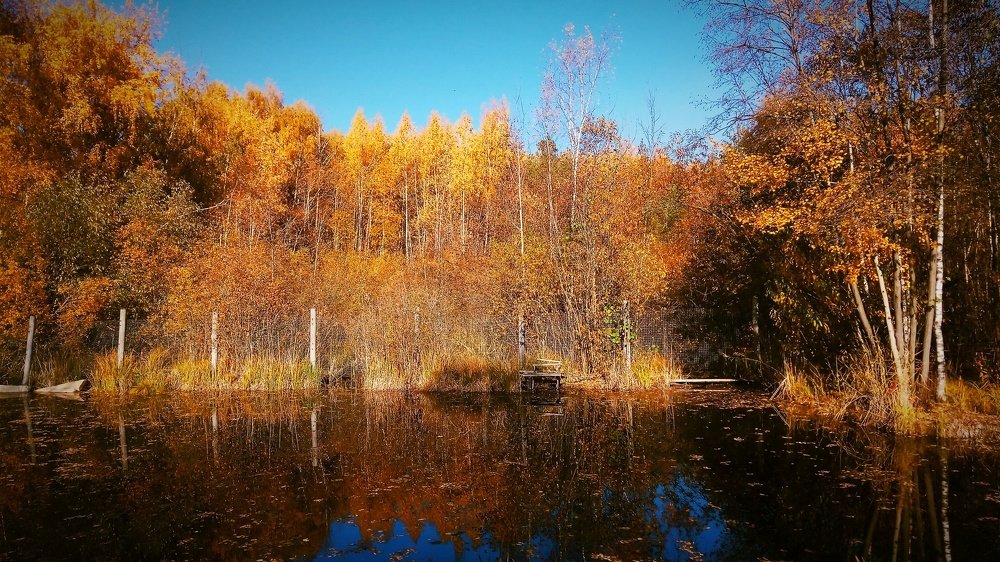 Photograph by Владислав Мягков