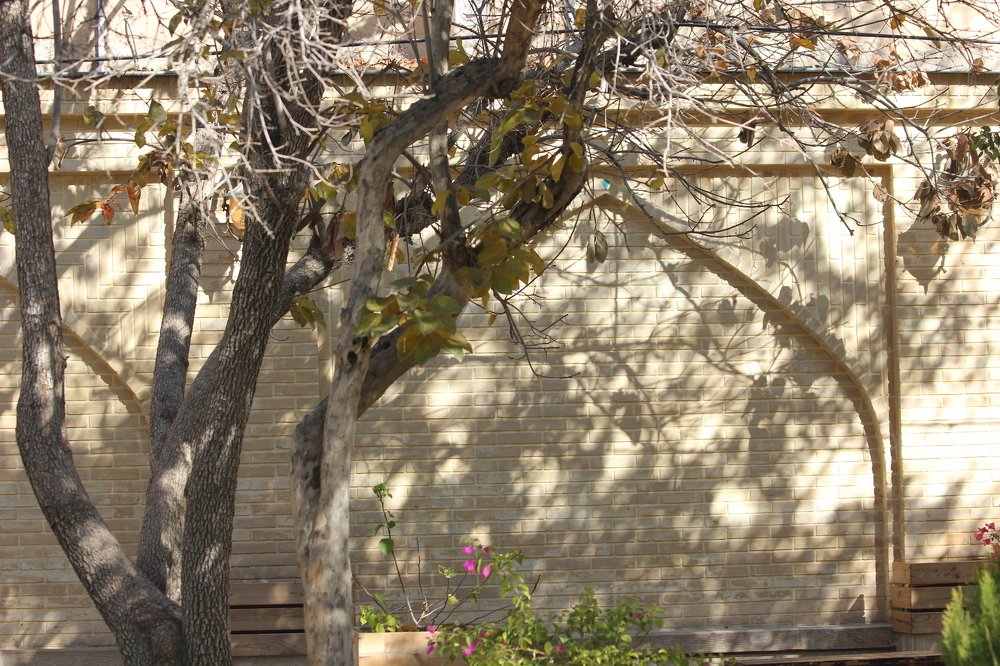 Photograph by Mehrzad Salimi khiati