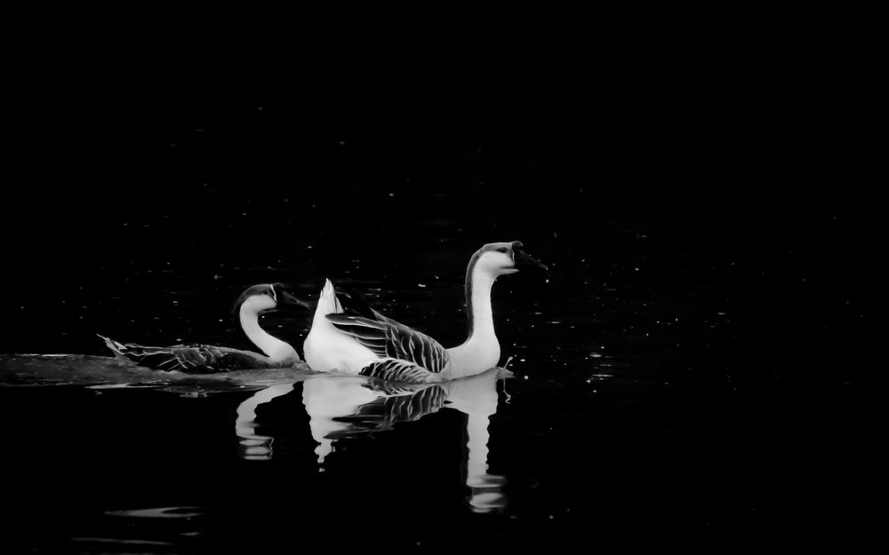 Photograph by Carlos Macias