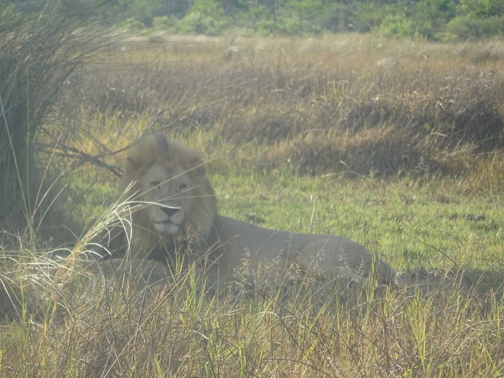 Photo #4095875