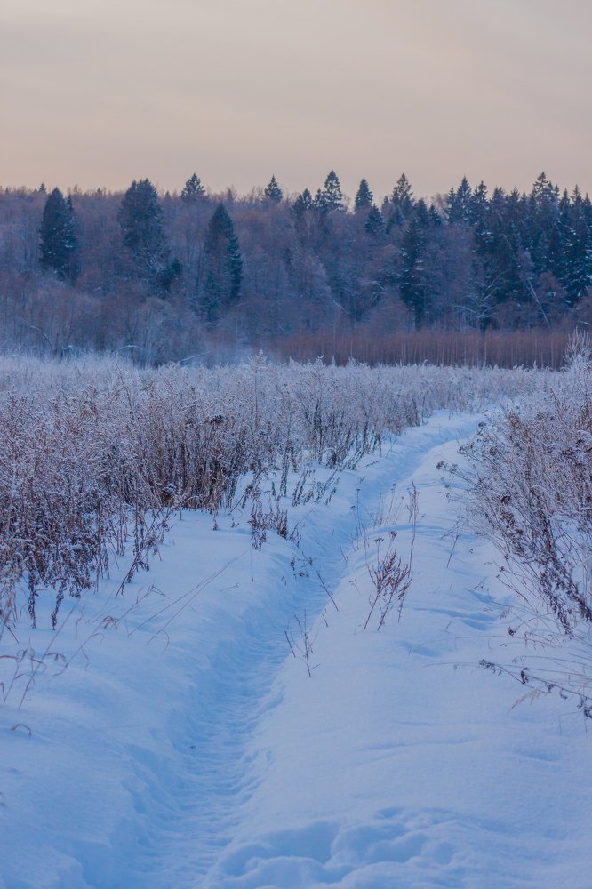 Зимняя тропка