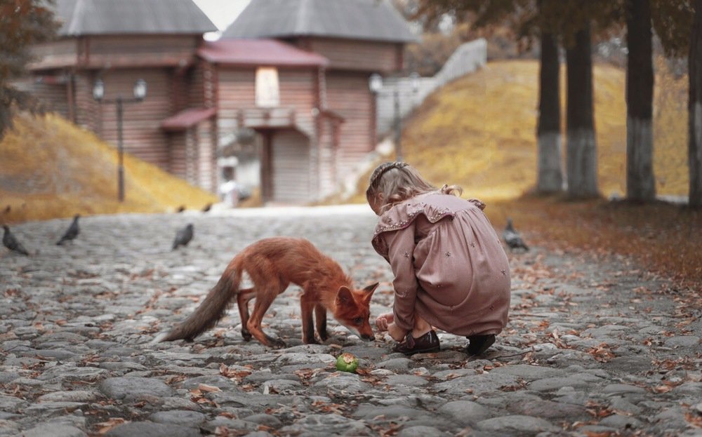 Photograph by Екатерина Айрис