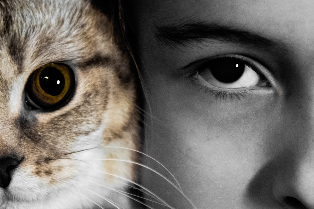 Photograph by Наталья Темная