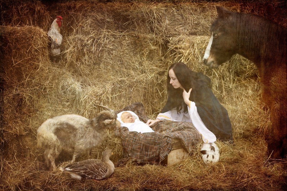 Photograph by Ирина Богатырева