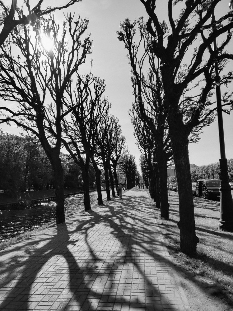 Фотография автора Гладкий Сергей