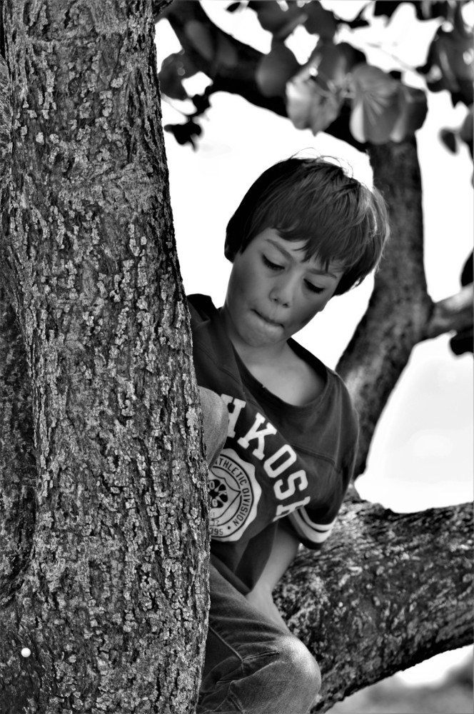 Photograph by Rosângela Verdi