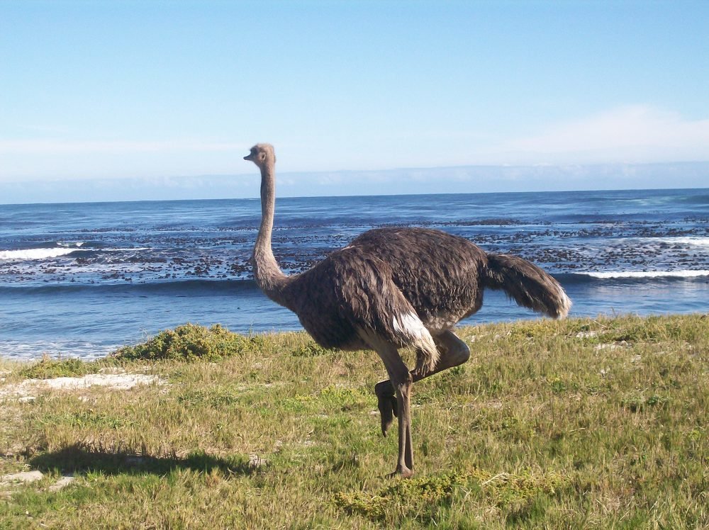 Photograph by Хвостов владимир Владимирович