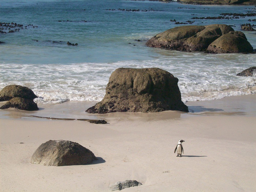 Photograph by Хвостов владимир Владимирович