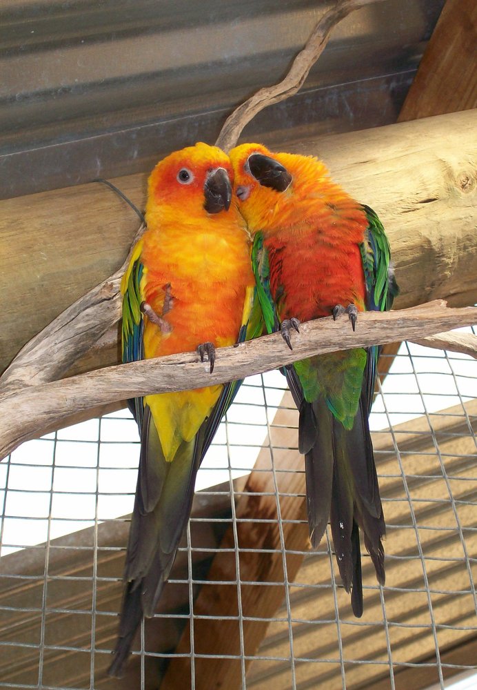 Photograph by Хвостов владимир Владимирович