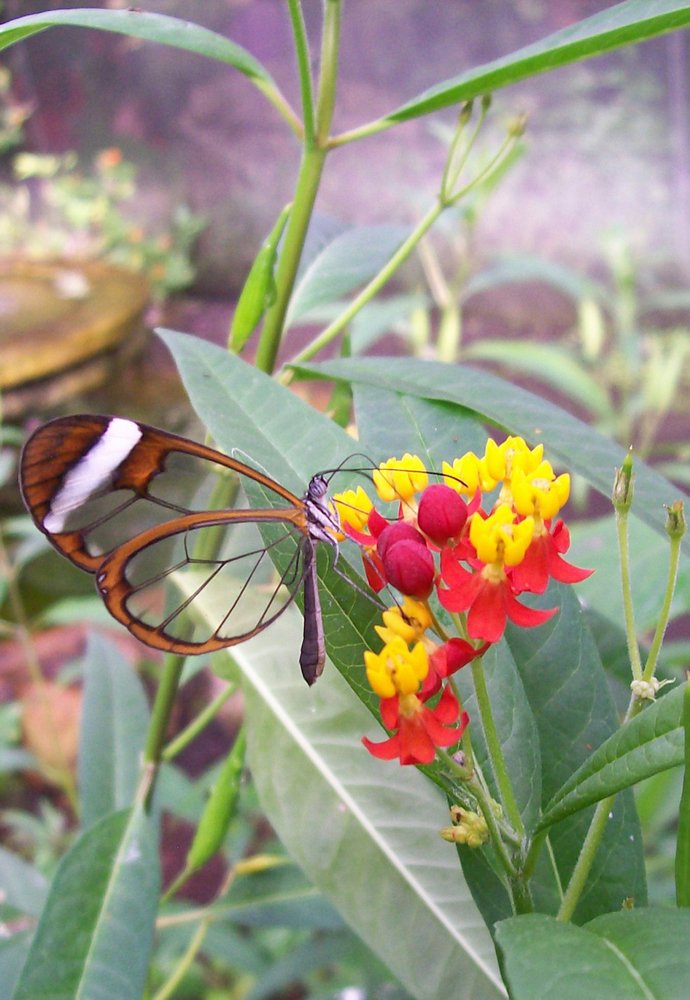 Photograph by Хвостов владимир Владимирович