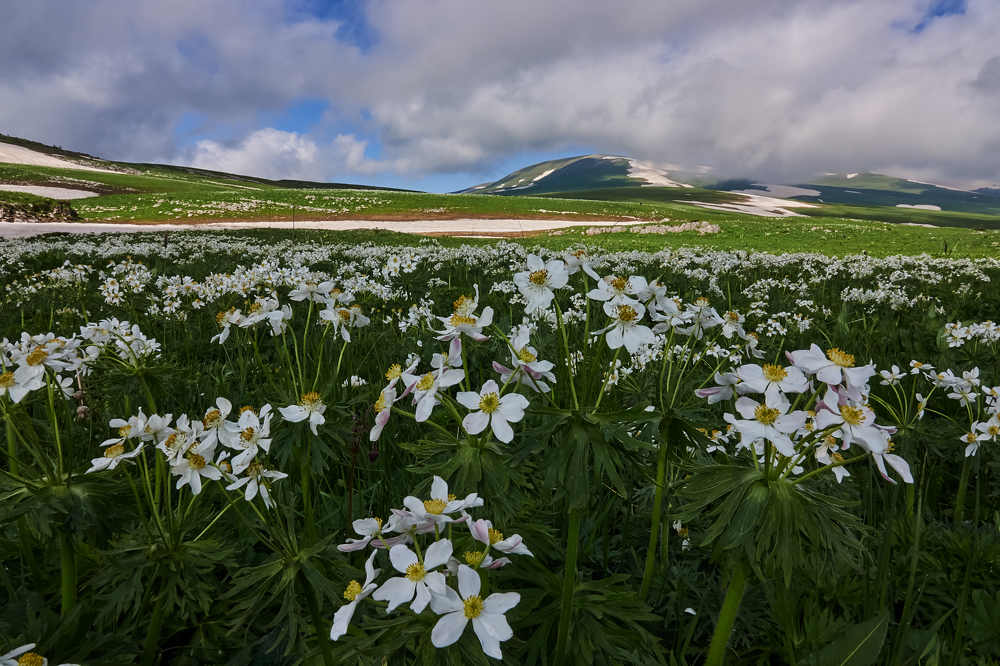 Photograph by Константин Шишкалов