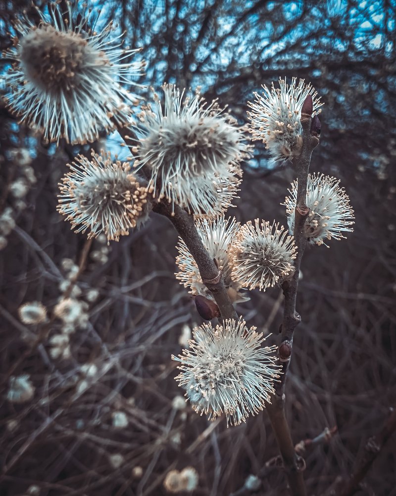 Photograph by Mikalai Stralchuk