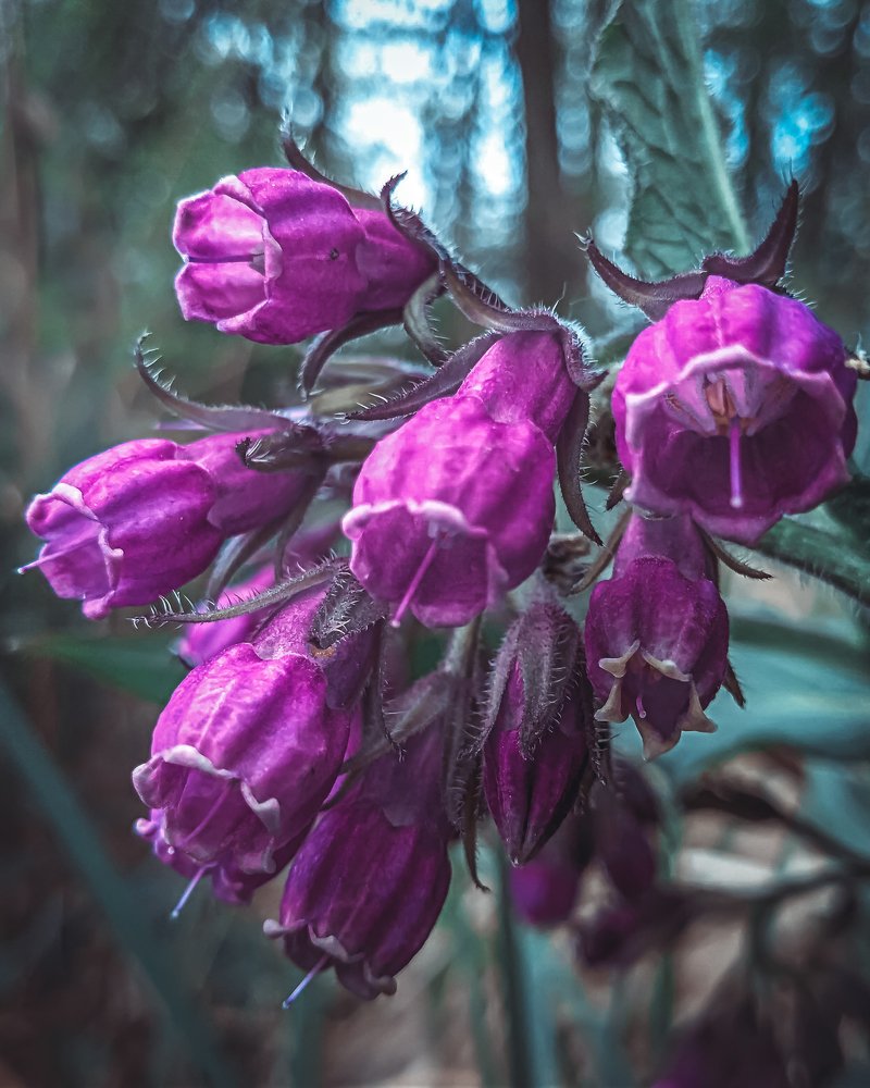 Photograph by Mikalai Stralchuk