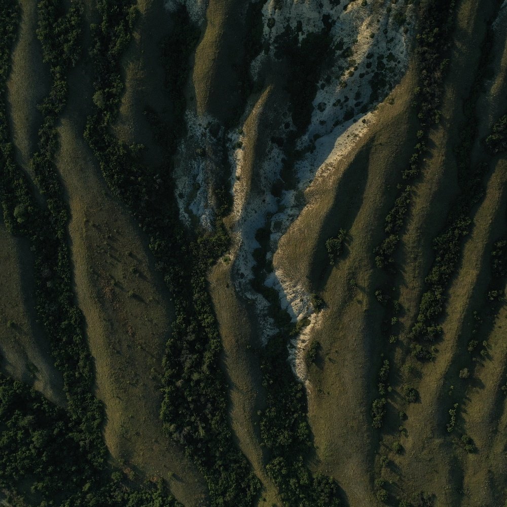 Photograph by Дмитрий Батагов