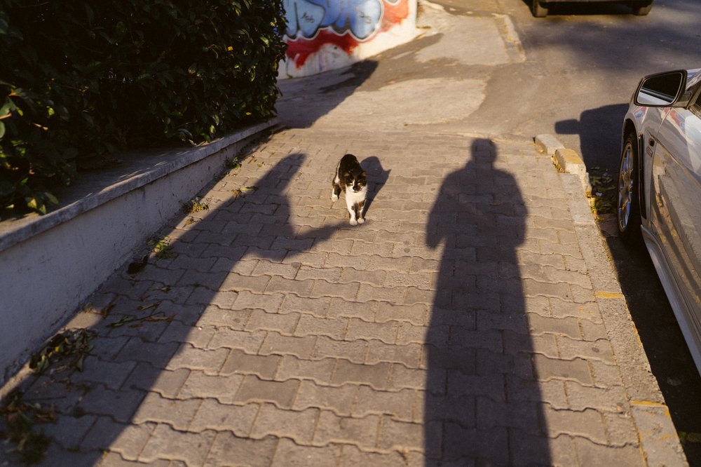 Photograph by Сергей Хмелевский