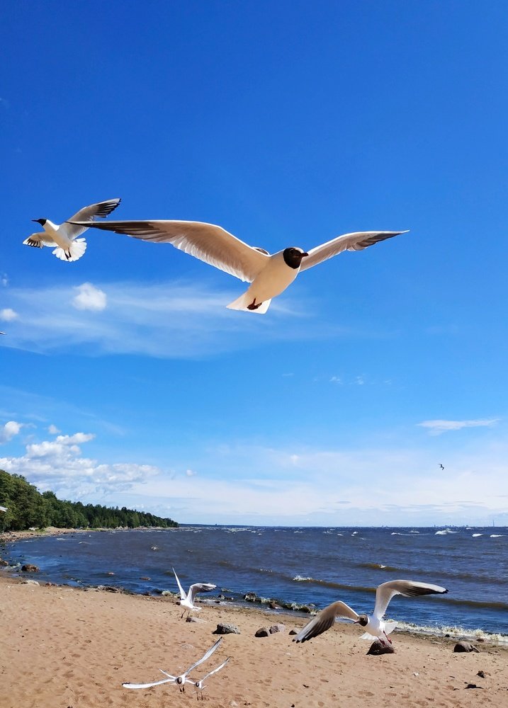 Photograph by Екатерина Бевзенко