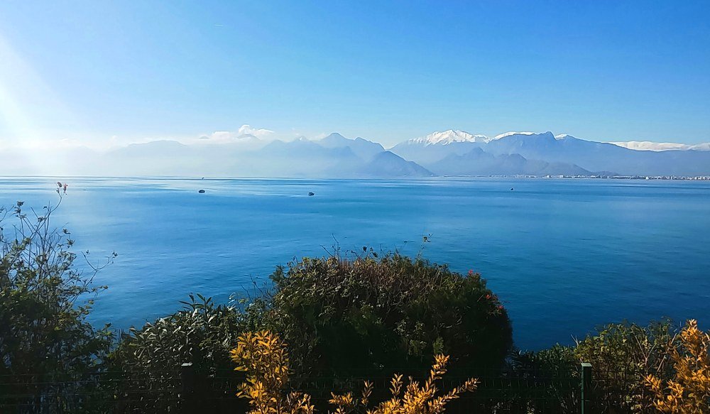 Photograph by Jehan faraj