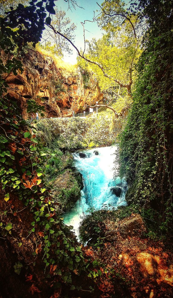 Photograph by Jehan faraj